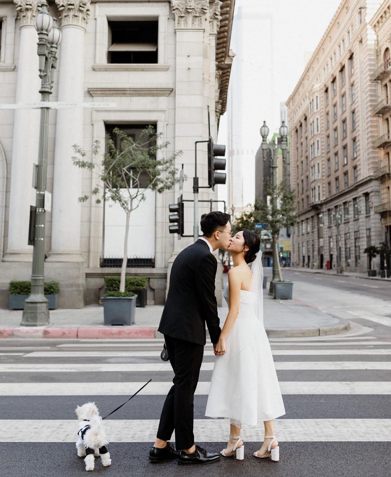 Kissing couple wearing a white gown and a black suit