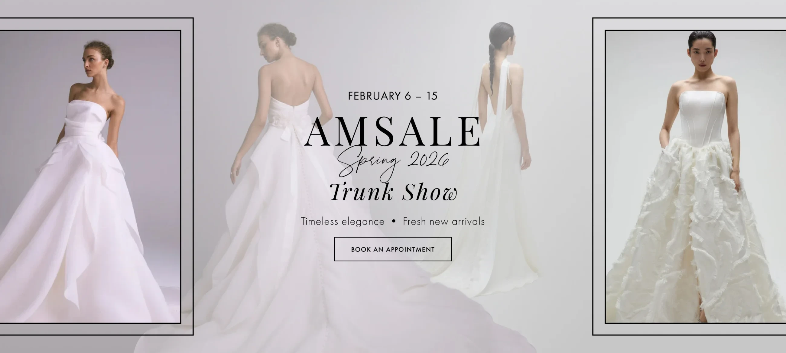 amsale feb 2026 trunk show banner